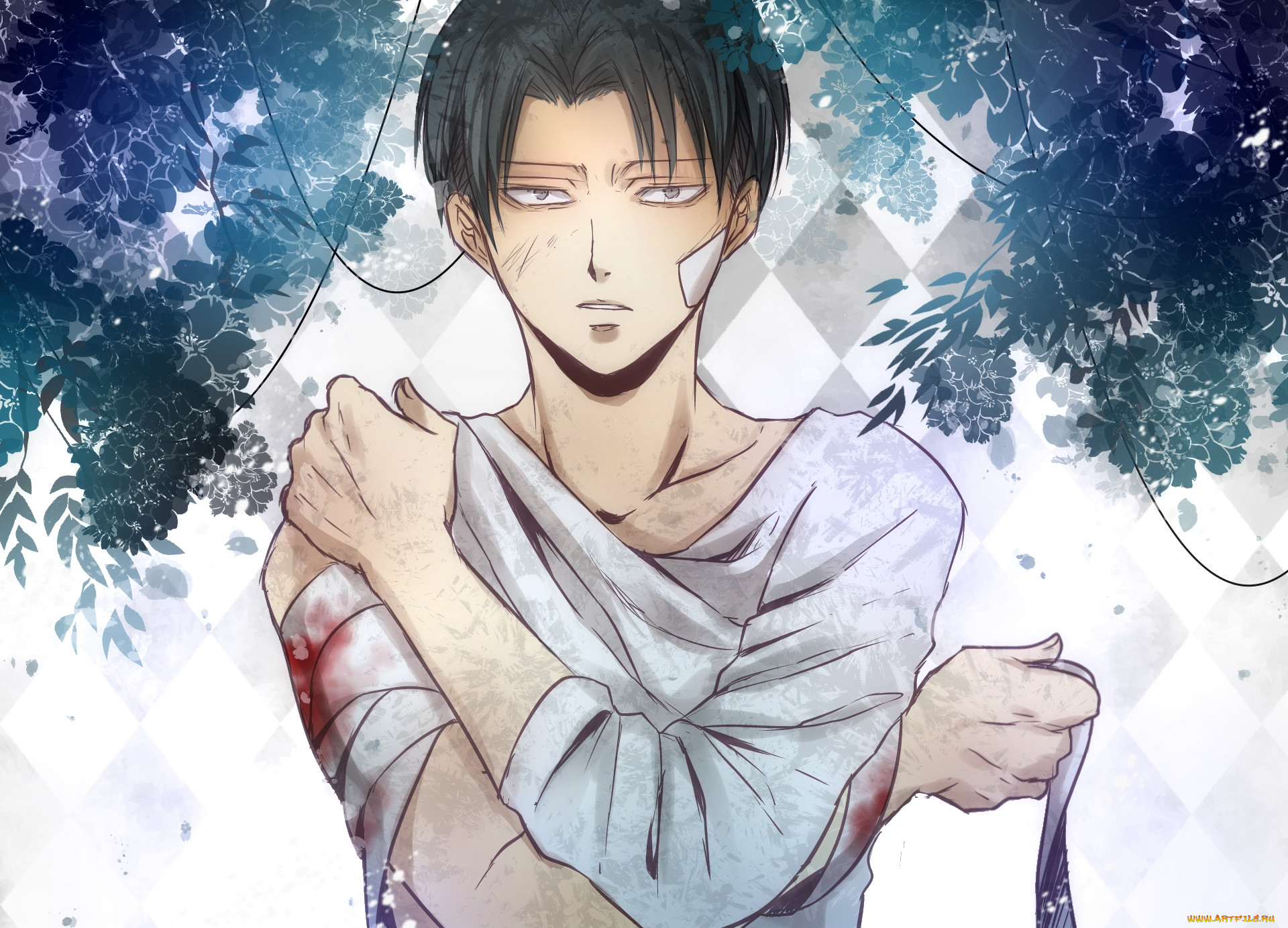 , shingeki no kyojin, levi